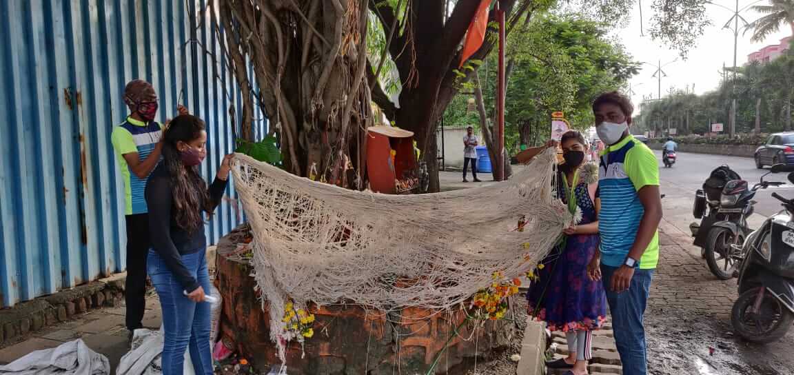 अंघोळीची गोळी संस्थेने वडाच्या झाडांला केले धागेदोरे मुक्त, परिसरही केला स्वच्छ