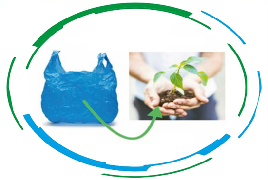 Give Plastic Take Away Plant